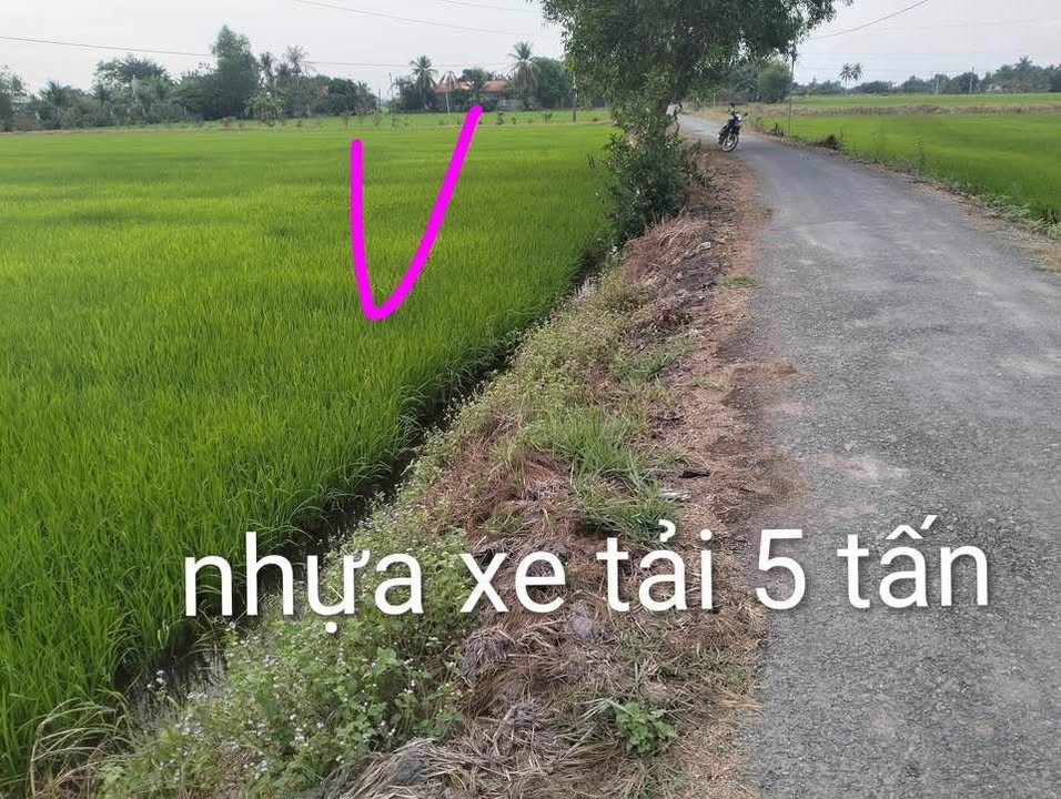 Bán Gấp 4000m² Đất Lúa Mặt Đường Nhựa, Thủ Thừa, Long An - Giá Đầu Tư 2.2 Tỷ