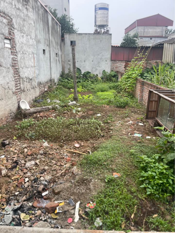 Đất nền Dương Quang, Gia Lâm 56m² - Sổ đỏ chính chủ, tiềm năng tăng giá!