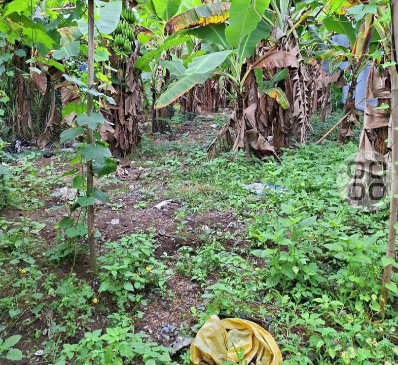 Đất nền KCN Giao Long Bến Tre 200m² - Sổ đỏ chính chủ chỉ 350 triệu!