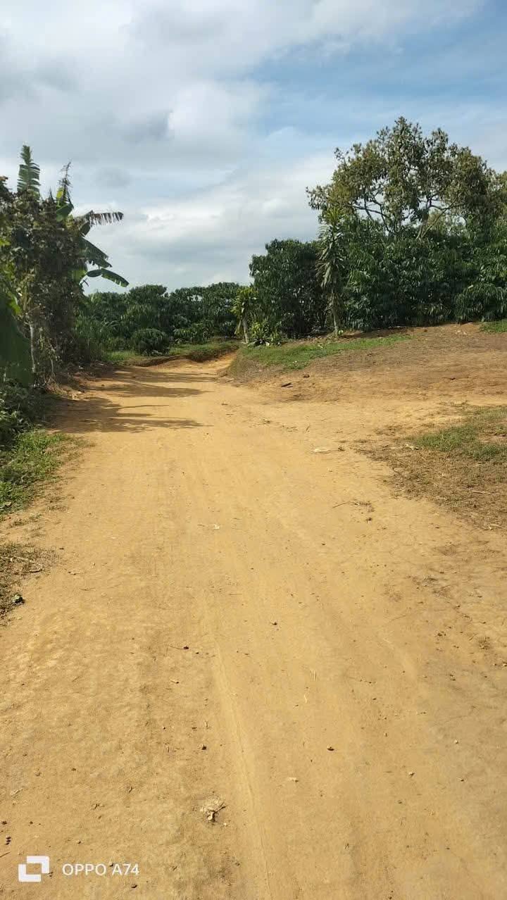 Đất vườn Di Linh 3000m² giá 900 triệu - Đầu tư dài hạn giá tốt!