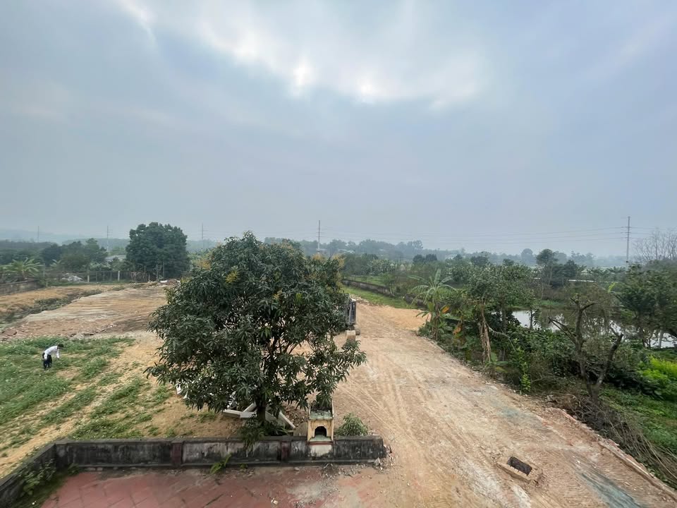 Bán Đất Tặng Nhà 2 Tầng 348m² Ba Vì - Sẵn Sàng Ở Ngay