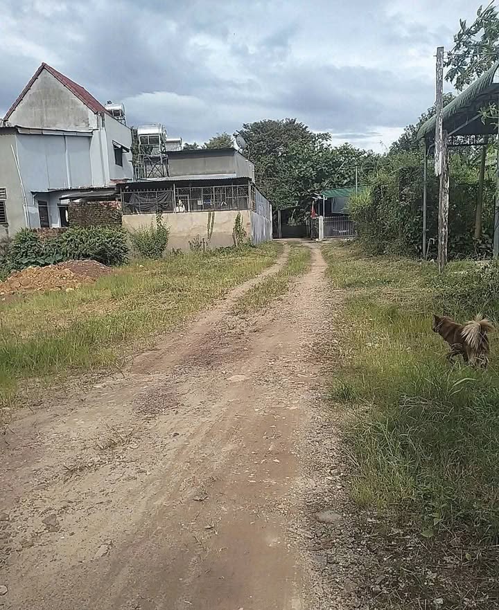 Đất nền Đạ Tẻh 270m² - Sổ đỏ sẵn sàng, giá 690 triệu