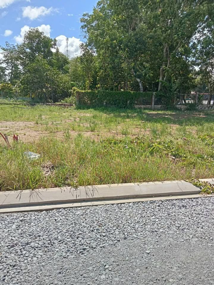 Đất nền Khu Chợ Mới Minh Lương An Giang 85m² Thổ cư 100% sổ hồng!