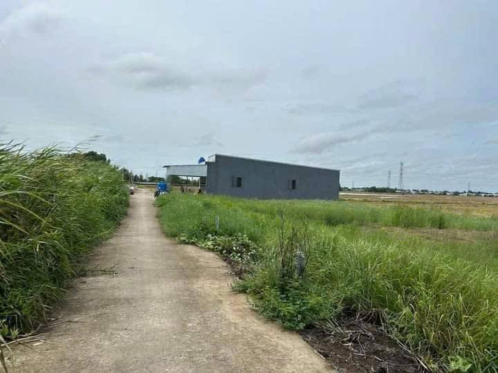 Đất nền Xã Mong Thọ B 117.5m² giá 220 triệu - Giá tốt hiếm có!