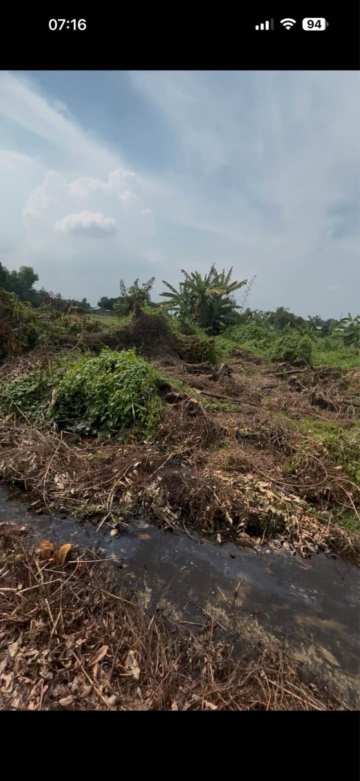 Đất vườn Thới Tam Thôn, Hóc Môn 220m² - Giá đầu tư cực tốt!