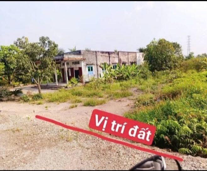 Đất vườn Bến Lức 507m² giá 499 triệu - View sông nghỉ dưỡng cực chill!