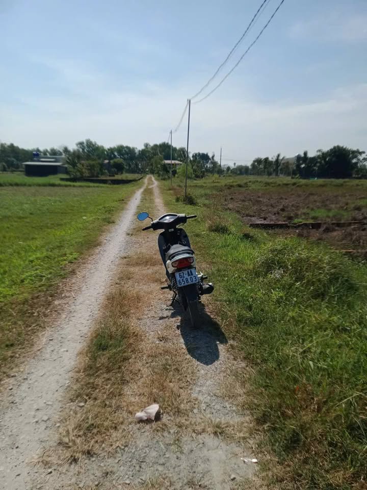 Đất nền Mỹ Hạnh Nam, Đức Hòa 150m² - Sổ hồng chính chủ, giá tốt!