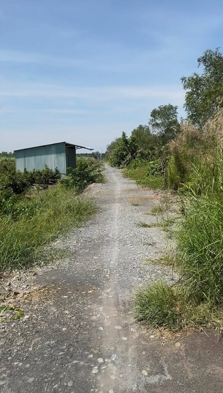 Đất vườn Bến Lức 3300m² giá 1.1 tỷ/1000m² - Nghỉ dưỡng lý tưởng!