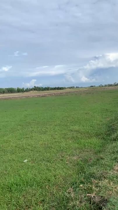 Đất nền Đức Huệ, Long An 2016m² - Sổ đỏ chính chủ, tiềm năng tăng giá