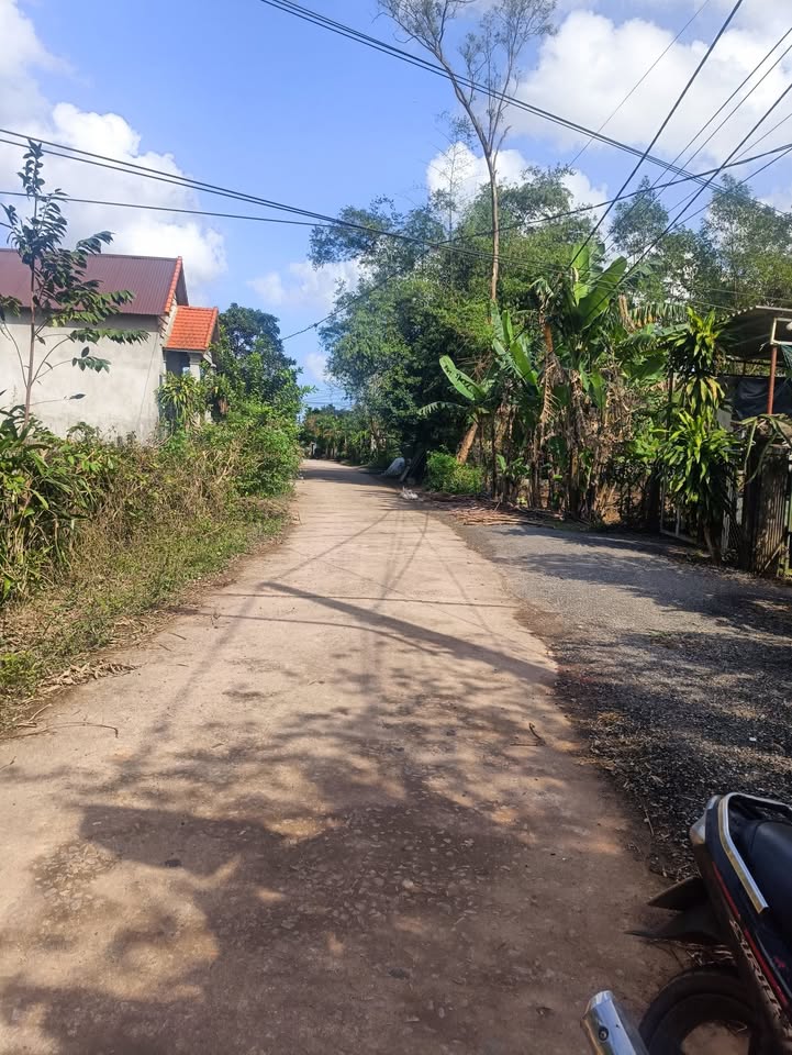 Đất Nền Thủy Phù Hương Thủy 300m² - Sổ Đỏ Chính Chủ Đường Ô Tô