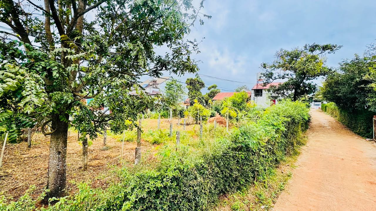 Đất nền Cư Êbur Buôn Ma Thuột 100m² giá 1 tỷ - Sổ đỏ chính chủ