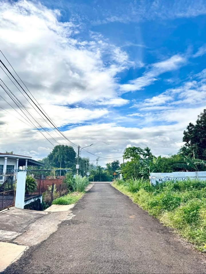 Đất Vành Đai Châu Sơn Buôn Ma Thuột - 100m² Sổ Đỏ, Mặt Tiền Nhựa 5x20m