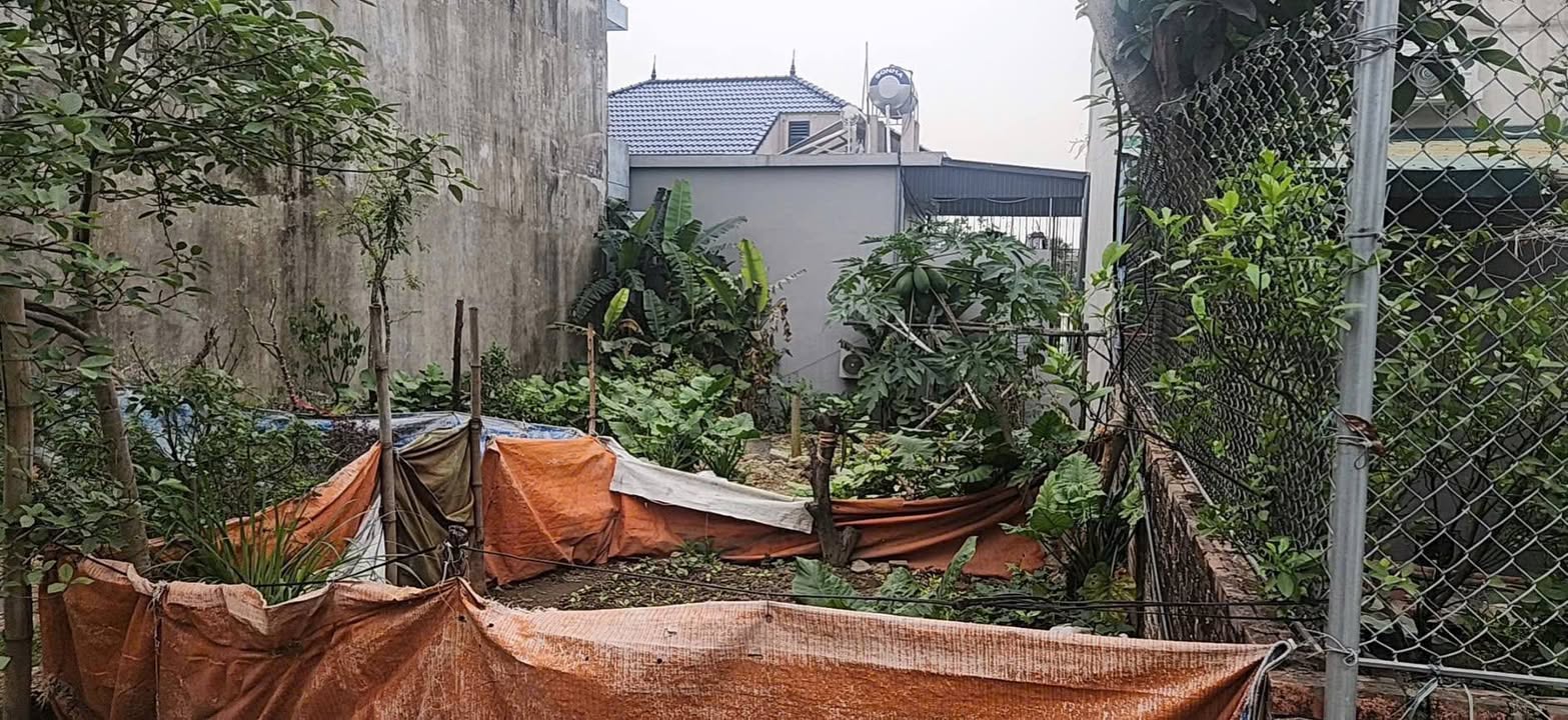 Bán Đất 100m² Quang Trung Uông Bí - Sổ Đỏ Chính Chủ, Giá 1.x Tỷ