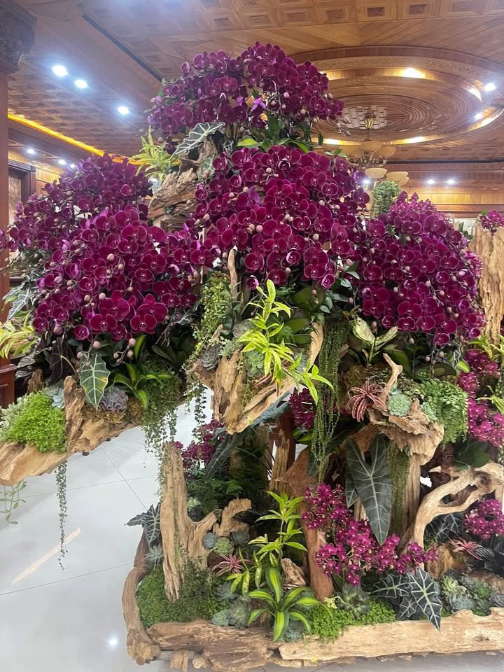 Đất nền Vũng Tàu 244m² Ngô Đức Kế - Lô góc 2 mặt tiền, thổ cư 100%