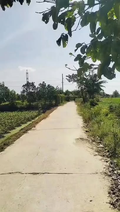 Bán Gấp 30.000m² Đất Nông Nghiệp An Giang - Mặt Tiền Rộng, Sẵn Sàng Khai Thác