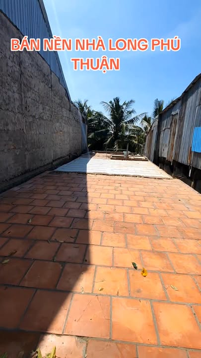 Đất nền Long Thuận, Hồng Ngự 100m² - Sổ hồng chính chủ, sang tên ngay!