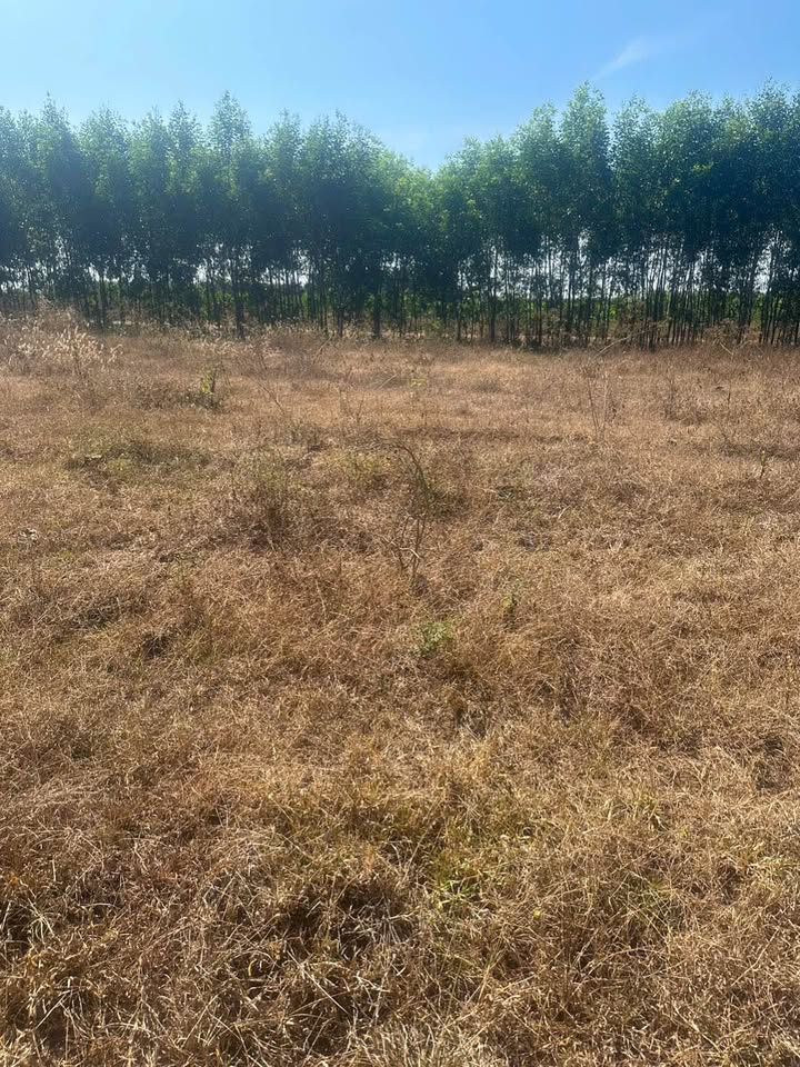 Bán Gấp Đất Nền 365m² Xã Bình Giã, Châu Đức - Sổ Hồng Riêng, Giá 380 Triệu