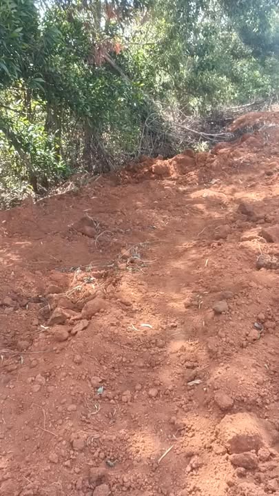 Bán đất rẫy Mang Yang Gia Lai 5000m² giá 400 triệu - Đầu tư sinh lời!