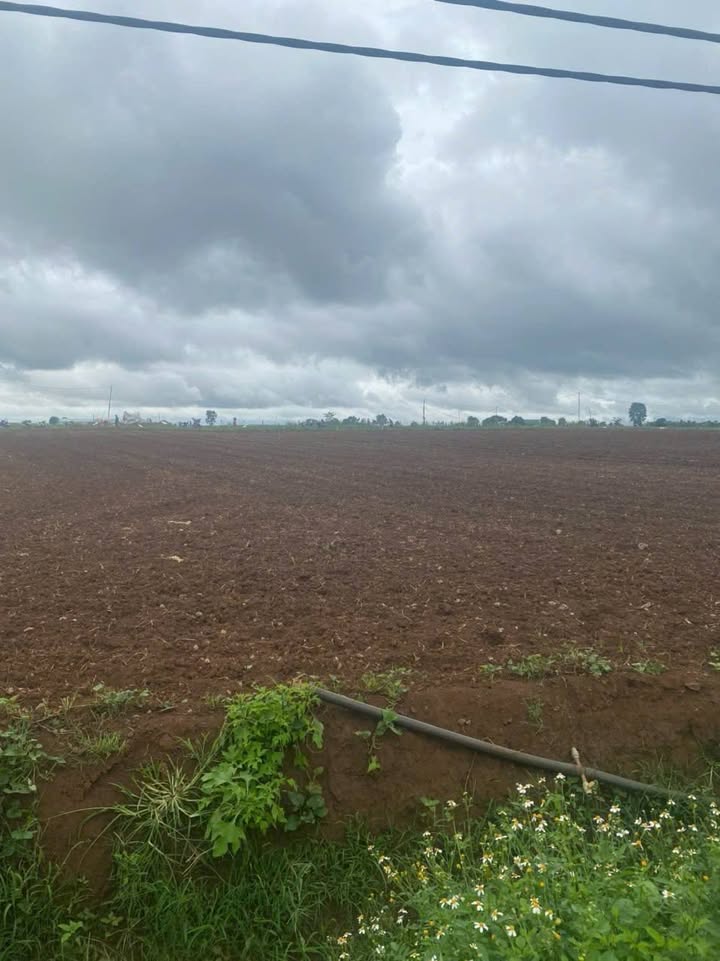 Đất Vườn Lâm Đồng - 2.1ha Phú Hội, Đức Trọng - Giá Tốt Đầu Tư