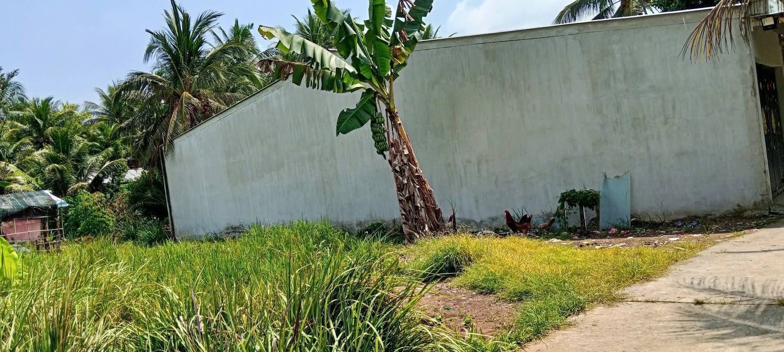 Đất nền An Phước, Châu Thành 500m² giá 550 triệu - Sổ đỏ chính chủ!