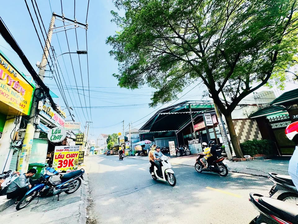 Đất nền Linh Trung Thủ Đức 225m² - Sổ hồng chính chủ