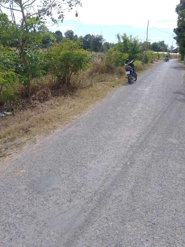 Đất Ruộng 3600m² Xã Ngọc Biên, Trà Cú - Hạ tầng hoàn thiện, giá 1.2 tỷ