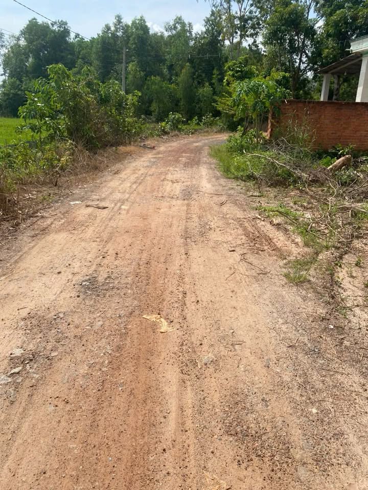 Đất Nền Phước Vinh, Tây Ninh - 73m² Full Thổ Cư, Giá 198 Triệu