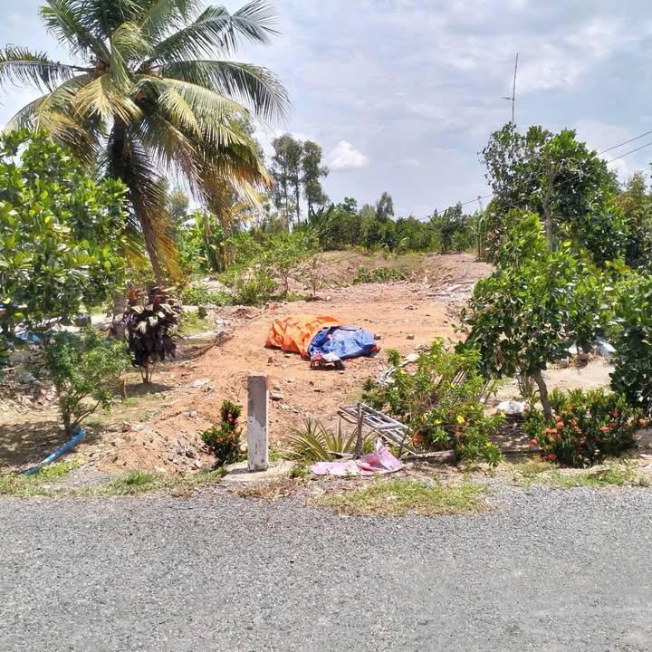 Bán Đất Vườn Mỹ Lợi B Cái Bè 1800m² Giá 980 Triệu - Tiềm Năng Tăng Giá