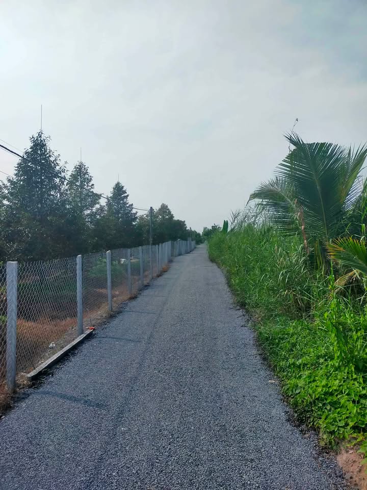 Đất vườn Mỹ Tân, Cái Bè 5600m² - Cơ hội đầu tư dài hạn!