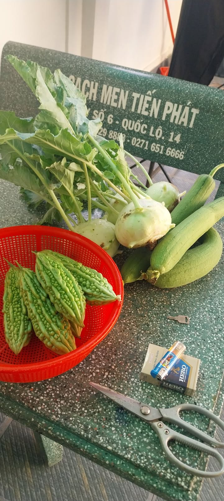 Đất Nền 175m² Đồng Xoài - Sở Hữu Chỉ Với 395 Triệu