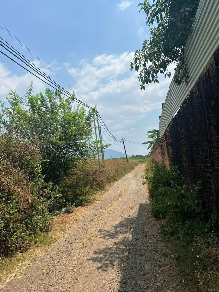 Bán Đất Nền Góc 1000m² Long Khánh - Giá 900 Triệu, Sẵn Sổ Hồng