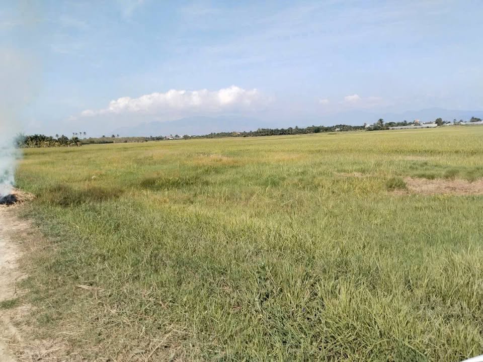 Đất vườn Đô Vinh Tháp Chàm 384m² giá 235 triệu - Đầu tư dài hạn