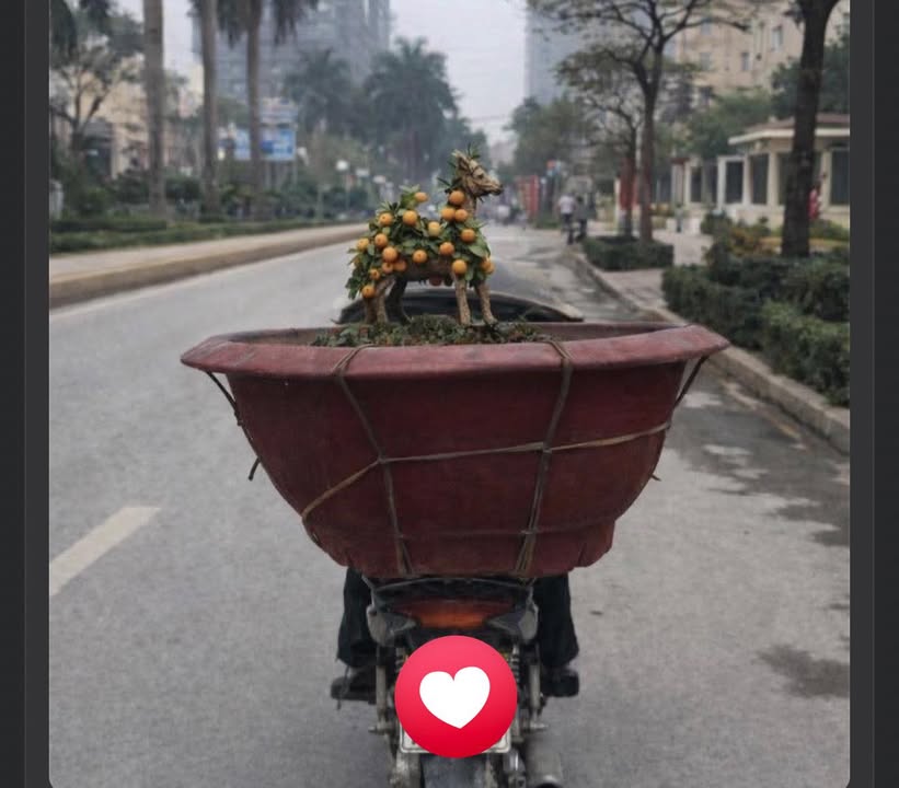 Đất nền Khai Quang, Vĩnh Tường 100m² - Tiềm năng tăng giá vượt trội!