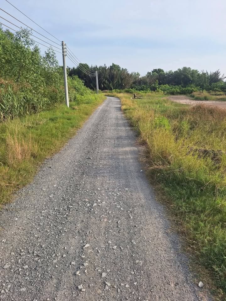 Đất Vườn 3400m² Bến Tre - Sổ Đỏ Sẵn Sàng, Gần UBND Tân Xuân