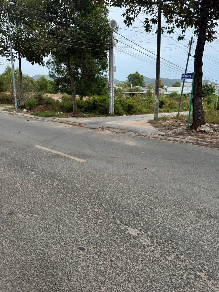 Đất vườn Long Hải 501m² giá 3.8 tỷ - Sổ đỏ chính chủ, tặng vườn mai!