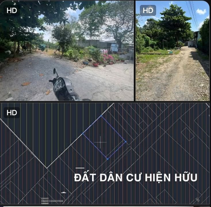 Bán đất Tân Thạnh Đông Củ Chi 325m² giá 3 tỷ - Sổ đỏ chính chủ!