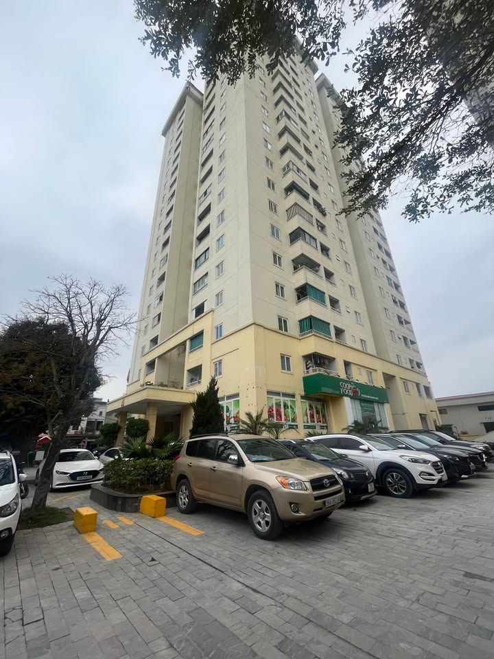 Cho thuê Căn hộ 3PN Tecco Đông Vệ - Sẵn Sàng Dọn Vào Ở Ngay!