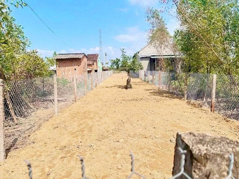 Đất Nền 186m² Thổ Cư - Vị Trí Đắc Địa An Nhơn, Bình Định