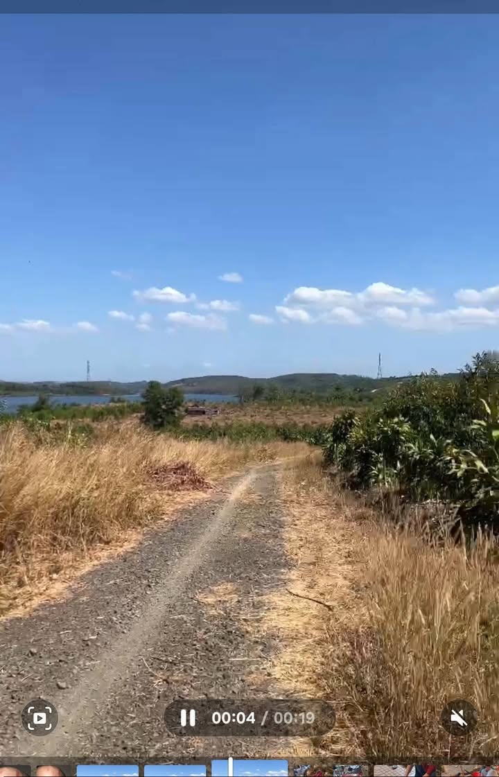 Đất Nền 880m² Bù Đăng - Giá Tốt Đầu Tư Dịp Tết