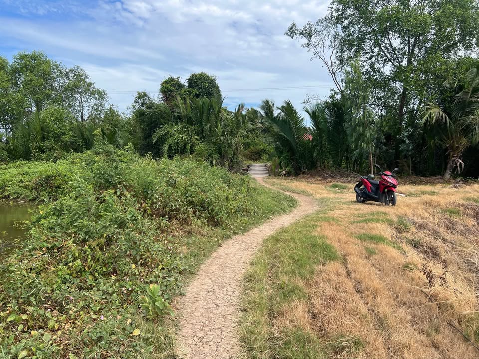 Bán Gấp Đất Vườn 7500m² Phường Vĩnh Phước, Cần Thơ - Giá 550 Triệu