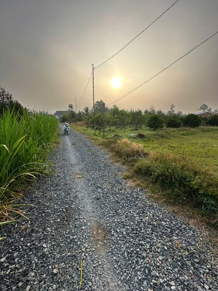 Đất nền Hòa Thành Tây Ninh 2500m² - Sổ đỏ chính chủ