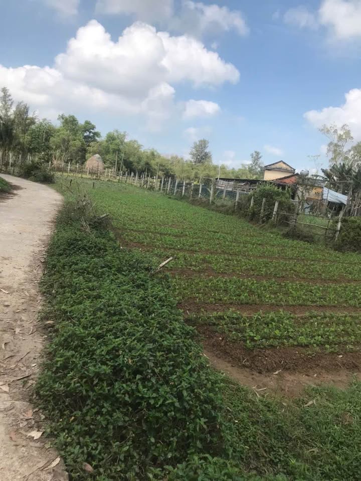 Đất Vườn Quảng Phú Pleiku 400m² Giá 2xx Triệu - Đầu Tư Dài Hạn