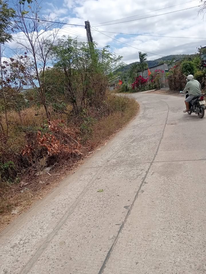 Đất nền Thôn 5, Cư Jút 750m² - Sổ đỏ chính chủ, tiềm năng tăng giá!