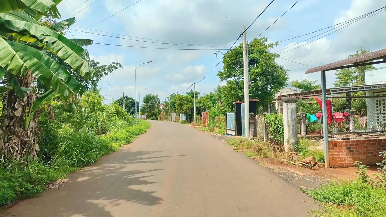 Đất nền Bàu Chinh Châu Đức 316m² giá 669 triệu - Sổ hồng sẵn