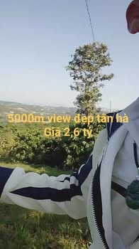 Đất nền Tân Hà, Lâm Hà 5000m² - Nghỉ dưỡng lý tưởng!