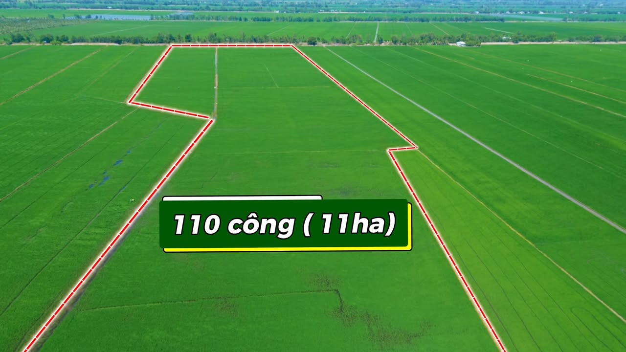 Đất nền Giang Thành 2000m² - Pháp lý rõ ràng, mặt tiền 60m