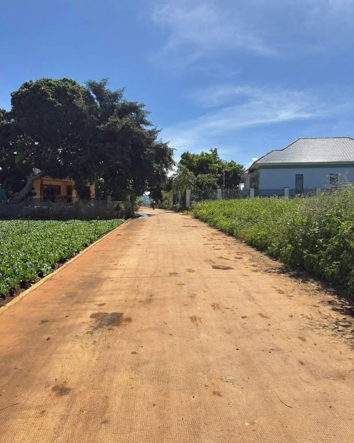 Đất nền Tà Năng, Đức Trọng 539m² - Sổ đỏ chính chủ, giá chỉ 2.7 tỷ!