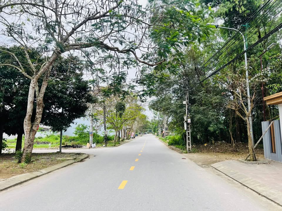 Đất nền Lê Quý Đôn, Vinh 136m² - Sổ hồng chính chủ, tiềm năng sinh lời!