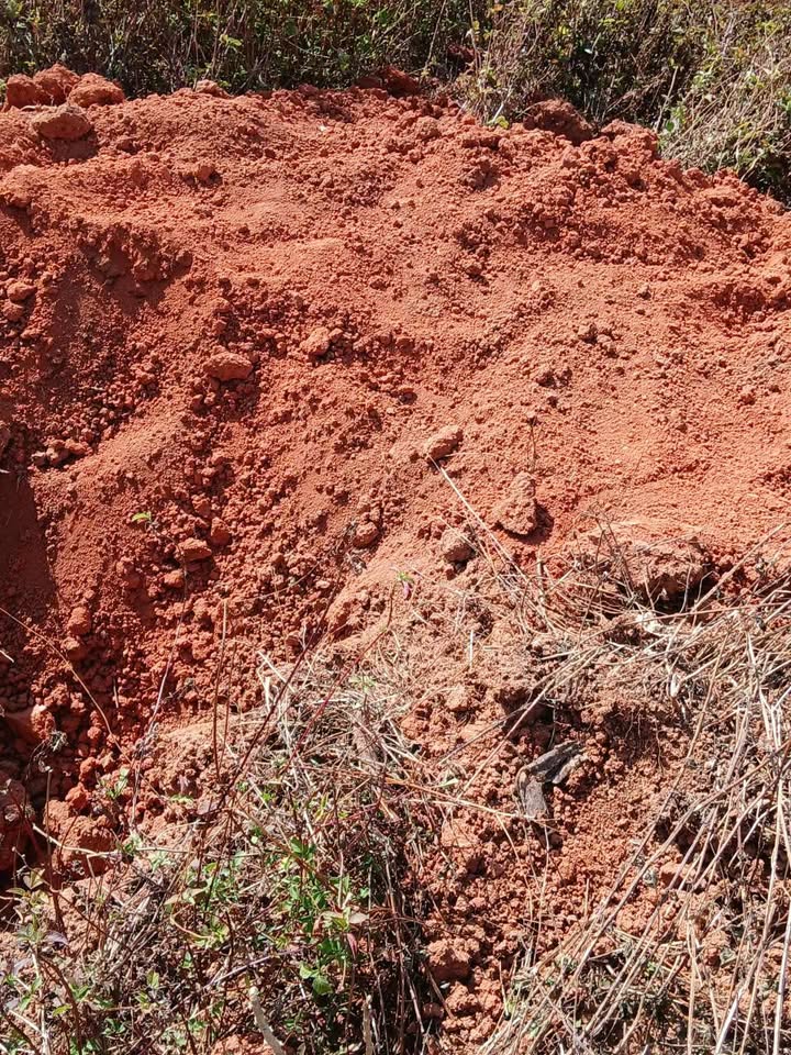 Bán Gấp 14ha Đất Đỏ Tỉnh Kon Tum - 180 Triệu/ha - Sẵn Sàng Đầu Tư