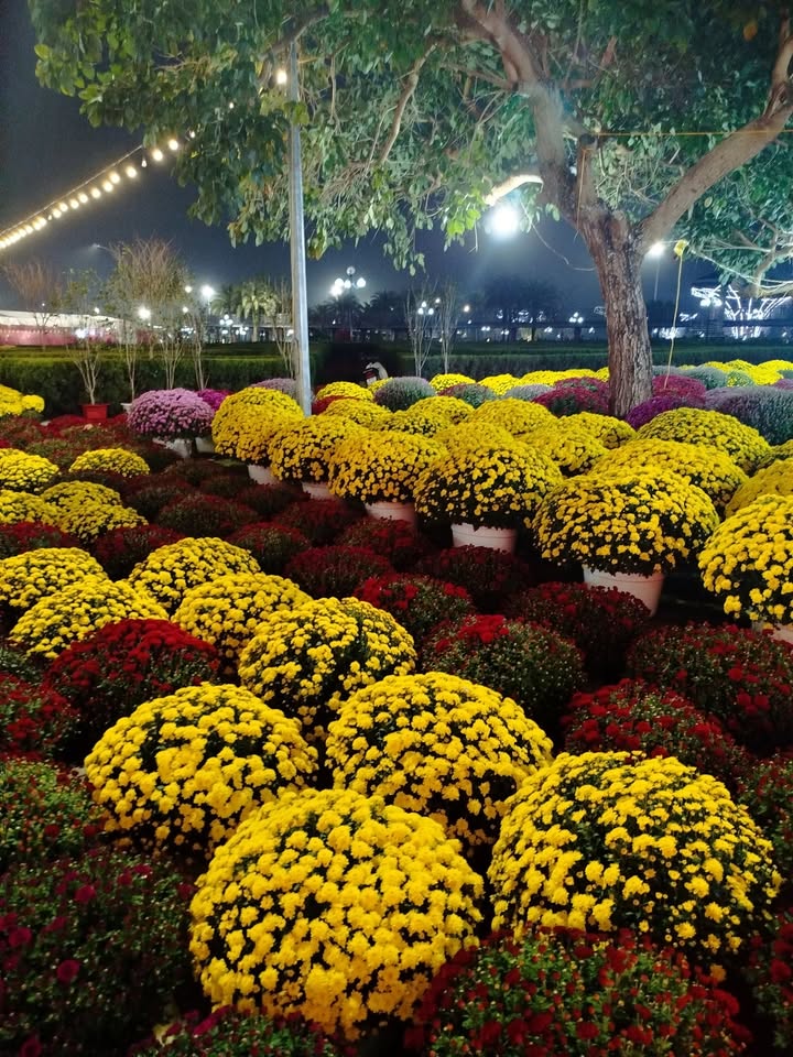 Đất nền Hà Khẩu, Hạ Long 250m² giá 6 tỷ - Tiềm năng tăng giá vượt trội!